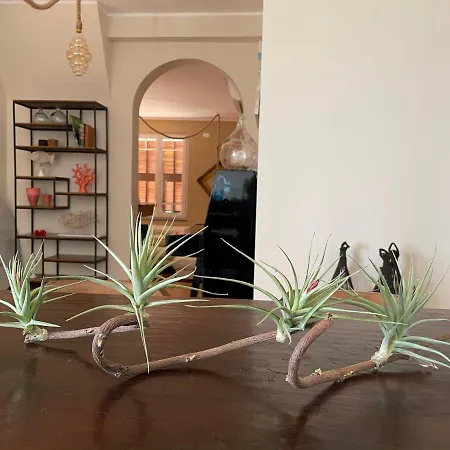 Sotto Le Stelle ...il Mare